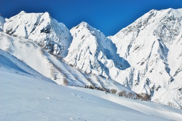 Fototapeta premium Hakuba / Nagano ~ winter season