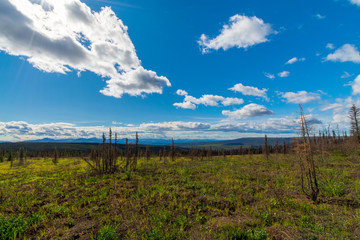 Fototapeta na wymiar Dempster Highway Traverses Through The Yukon And Northwest Territories, Canada