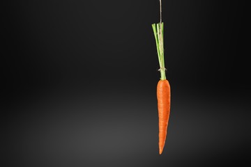 Carrot.