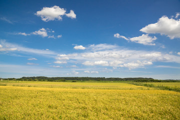 田園風景