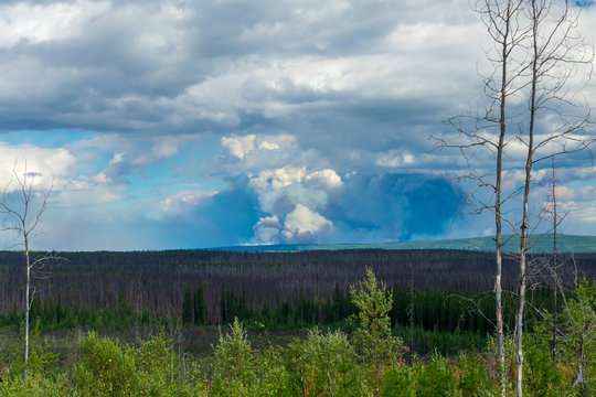 A British Columbia Wildfire Seen From A Distance