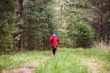 Obraz premium cheerful child in autumn clothes running through the woods