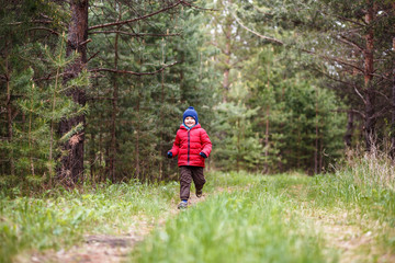 Fototapeta premium cute boy in a red hat and warm pants runs in the forest in autumn
