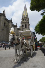 Naklejka na ściany i meble Historical center and cathedral in Guadalajara Jalisco. MEXICO