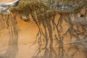 Closeup sand texture