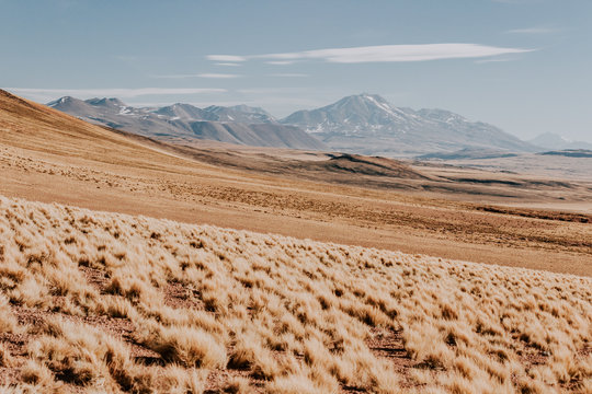 Deserto do Atacama, norte do Chile