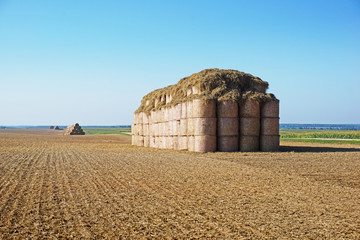 Many haystacks stacked on top of each other after harvesting.