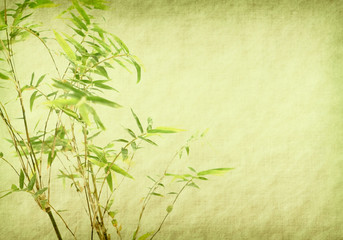bamboo on old grunge paper texture background
