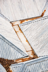 Corrugated Iron Roof