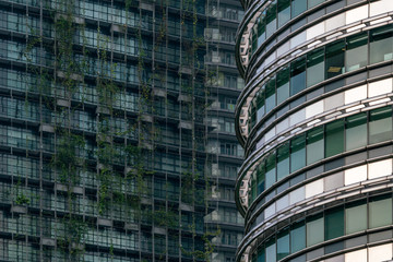The facade of a modern skyscraper covered with green plants