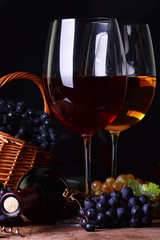 Wine cellar, this year's harvest