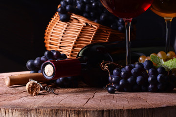 Obraz premium Wine cellar, this year's harvest