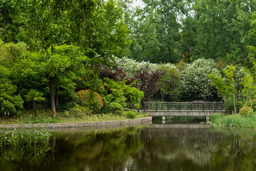 Fototapeta na wymiar The Bridge and The Pond