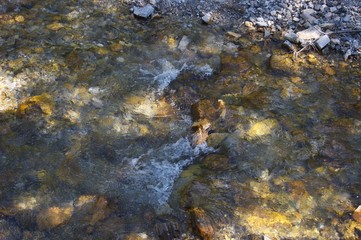 little brook along trail