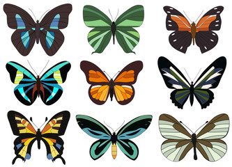 isolated, butterfly, set