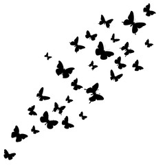 Plakat background with flying butterflies