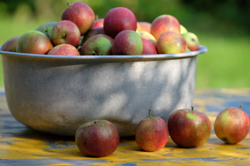 Schüssel mit reifen Äpfeln
