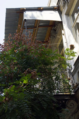 Fototapeta na wymiar Old Tbilisi architecture, window and exterior decor with tree in autumn day