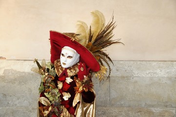 Fototapeta na wymiar Maskierte, Carneval in Venedig, Venetien, Italien, Europa