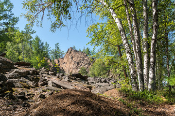 Beautiful rock in the Siberian forest