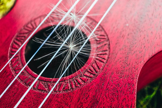 Romantic guitar strings close up, summertime, park. Playing guitar outdoor concept.