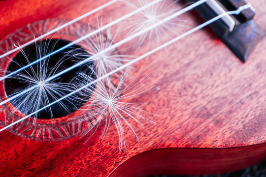 Romantic guitar strings close up, summertime, park. Playing guitar outdoor concept.