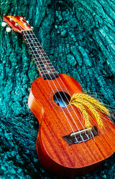 An ukulele guitar with a golden rye spikes. Music, nature and harvesting concept.