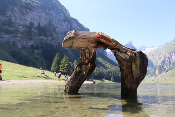 Alpsee