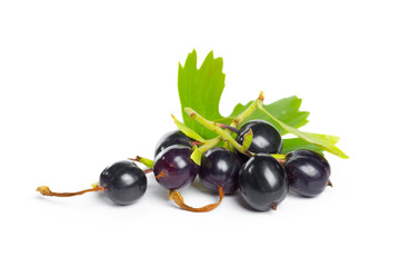 Berries black currant with green leaf. Fresh fruit, isolated on white background.
