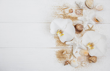 sea shells with sand and orchid flowers