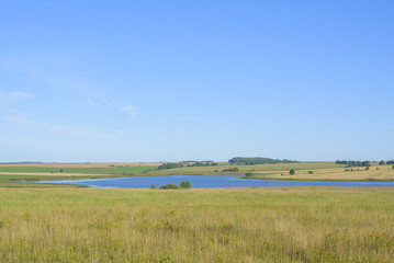 field of ripe cereals