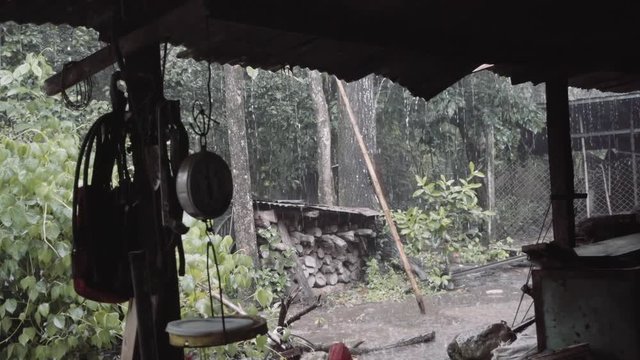 Hut on the jungle, raining day. Slow motion. 