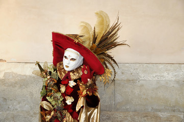 Fototapeta na wymiar Frau im Karnevalskostüm, Venedig, Italien, Europa