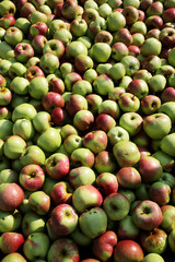 frische Äpfel