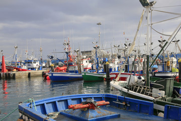 Bunte Fischerboote im Hafen, Insel Teneriffa, Kanaren, Spanien, Europa