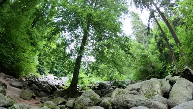 Felsenmeer, Felsen, Gestein, Laubb&auml;ume
