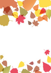 Naklejka na ściany i meble Autumn, the leaves fall from the tree. Foliage, vertical vector background