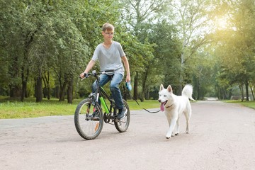Boy with a white husky dog on bicycle in the park