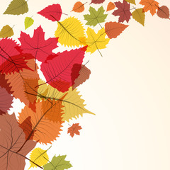 Autumn, the leaves fall from the tree. Foliage, vector background
