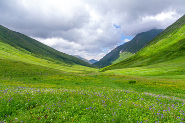 Fototapeta na wymiar Panoramic view of Caucasian mountains with fresh green meadows in bloom on a cloudy day, Sochi, Russia