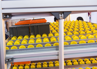 Plastic boxes on the roller conveyor. Modern warehouse equipment.