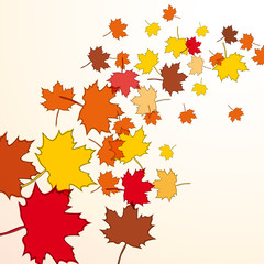 Autumn, the leaves fall from the tree. Foliage, vector background