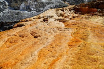 Lower Terraces Area, Mammoth Hot Springs, in Yellowstone National Park Wyoming, USA