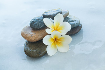 Fototapeta na wymiar spa objects for massage on white background.