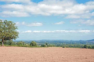 Fototapeta na wymiar Summertime landscape in the British countryside of Herefordshire.