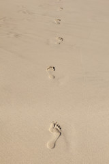 human footsteps at the clean sandy beach