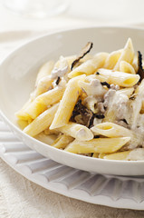 Penne alla norcina - Italian  pasta with  cream sauce and black truffle in white plate, free text space.