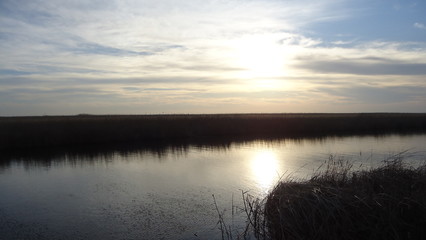 Danube Delta