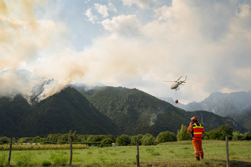 Aerial firefighting with helicopter on a big wildfire in a pine forest - 220922416