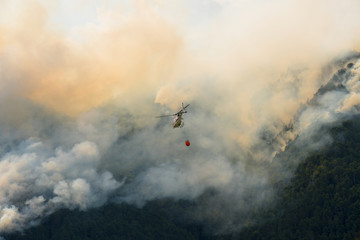 Aerial firefighting with helicopter on a big wildfire in a pine forest